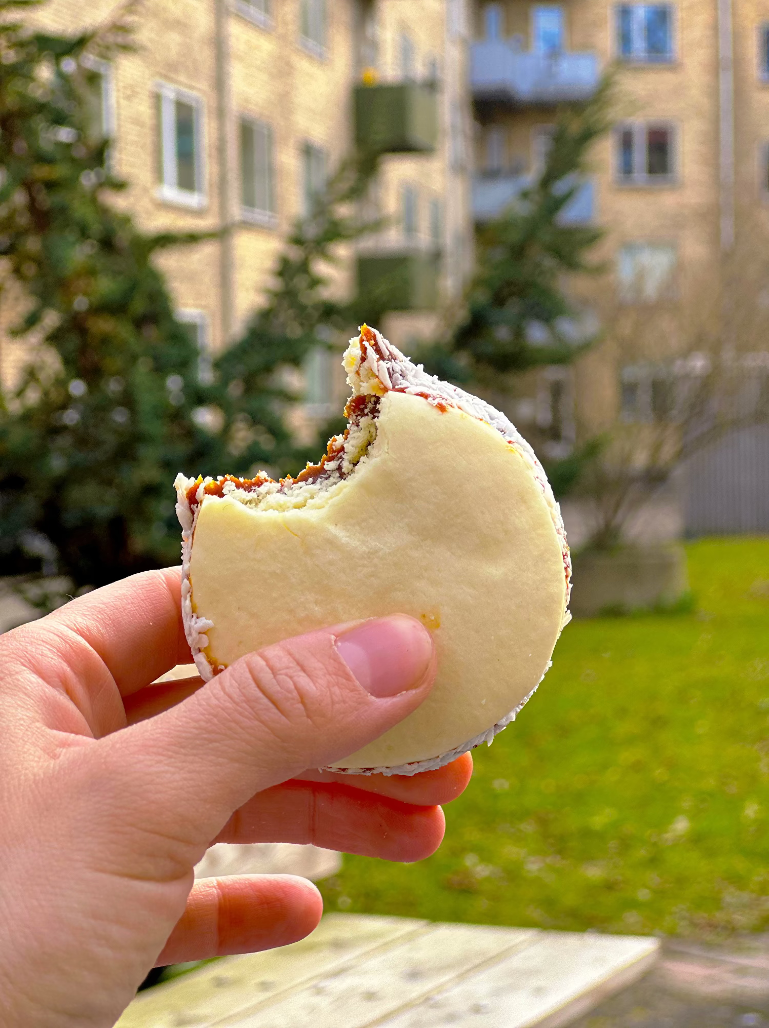 Gluten-free alfajor de maicena with dulce de leche filling and shredded coconut on the edges, the Argentine classic handmade by Gluten Tag in Copenhagen.